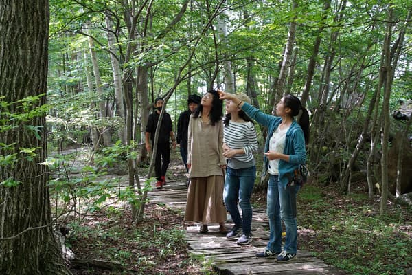 Un tour de curación caminando con una terapeuta forestal