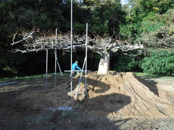 种植后浇水养护