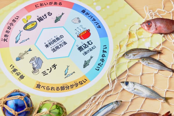 Chart of unused fish