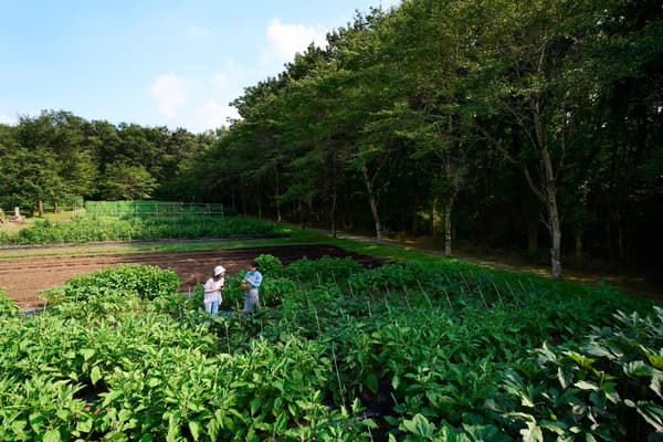 Guests harvesting seasonal vegetables at the Agri Garden, Risonare Nasu