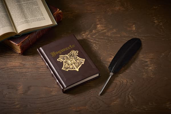 Cuaderno y pluma de ave