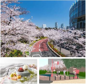 MIDTOWN BLOSSOM 2026