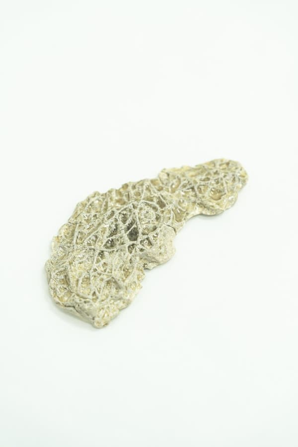 Trace of line #3 Photo by Keisuke Maeda