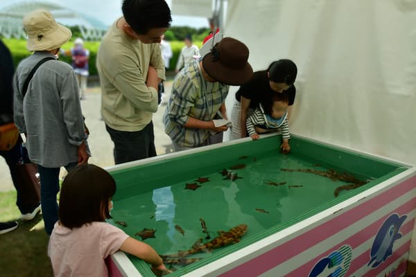 AquaWorld Ibaraki Oarai Aquarium mobile aquarium