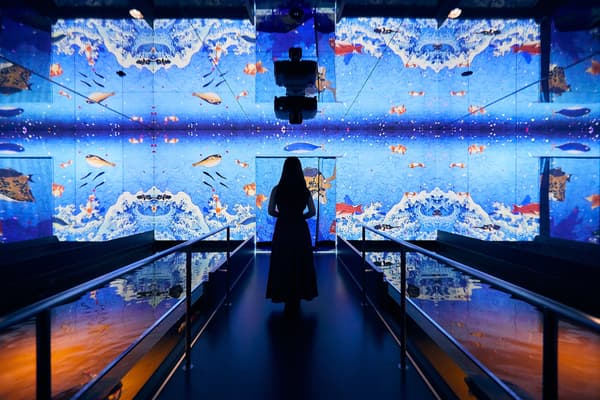 移动的浮世绘展 HIROSHIMA x 广岛基町水族馆