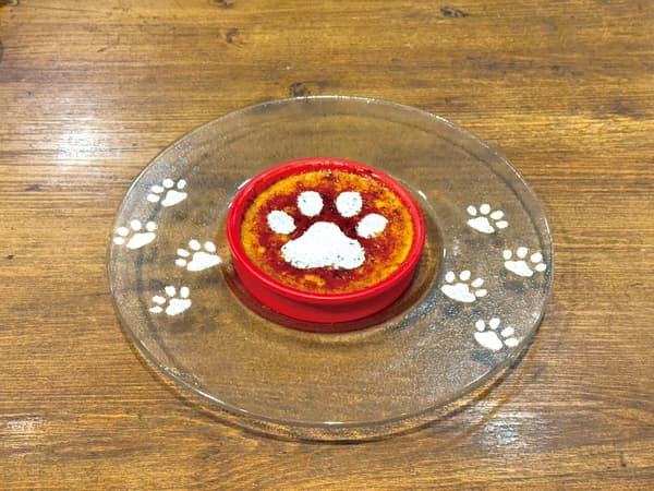 Cat-themed sweets collection