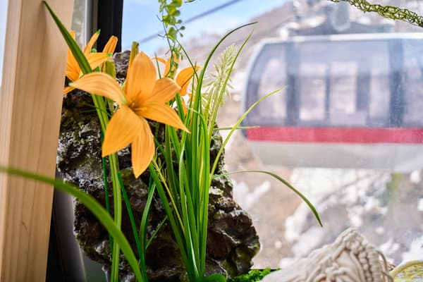 Flores artificiales de Nikko Kisuge creadas por GEOCOLOR
