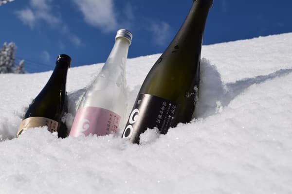 体验挖掘雪来寻找清酒瓶