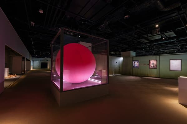 “恐”展现场装置