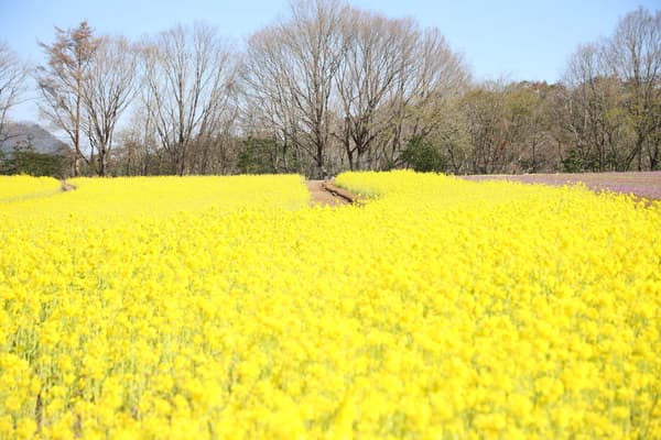 摄于2026年4月8日