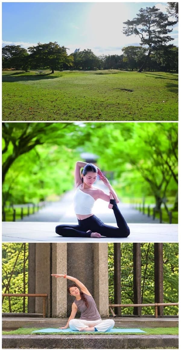 Morning yoga in the park