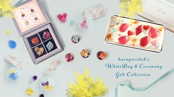 harapecolab spring sweets collection