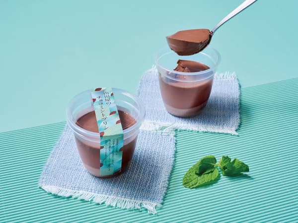 Japanese Choco Mint Pudding