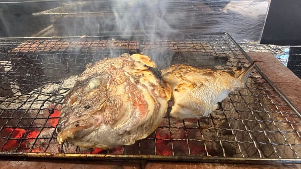 來自淡路島的炭烤野生真鯛頭和魚頸肉