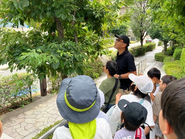 创建甲虫栖息地