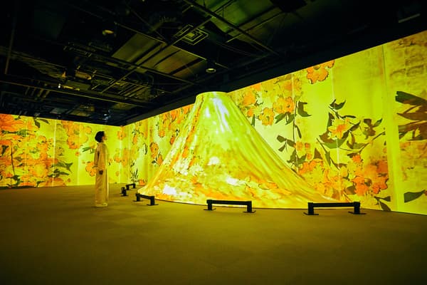 Ukiyoe Immersive Art Exhibition Osaka