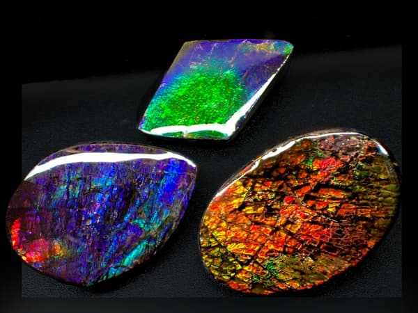 Ammolite, each piece showing a different expression