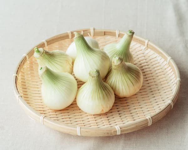 Awaji Island New Onions