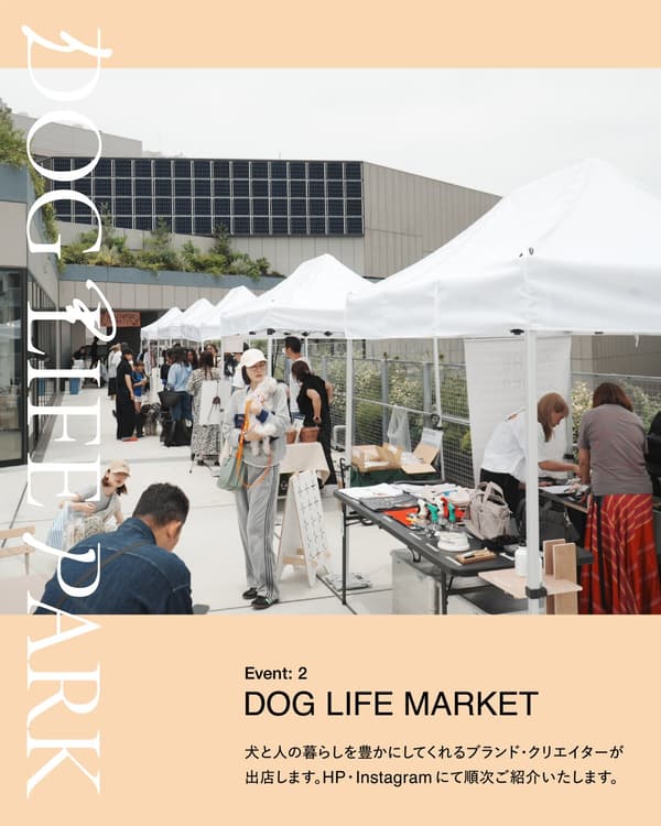 DOGLIFE MARKET