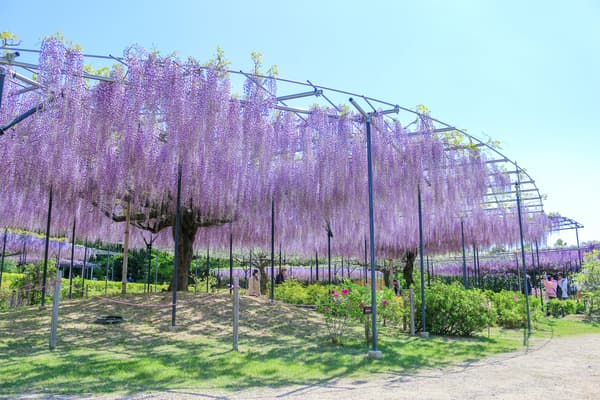 截至2025年4月26日