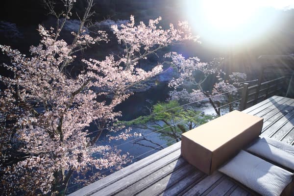 可俯瞰山櫻的空中茶室