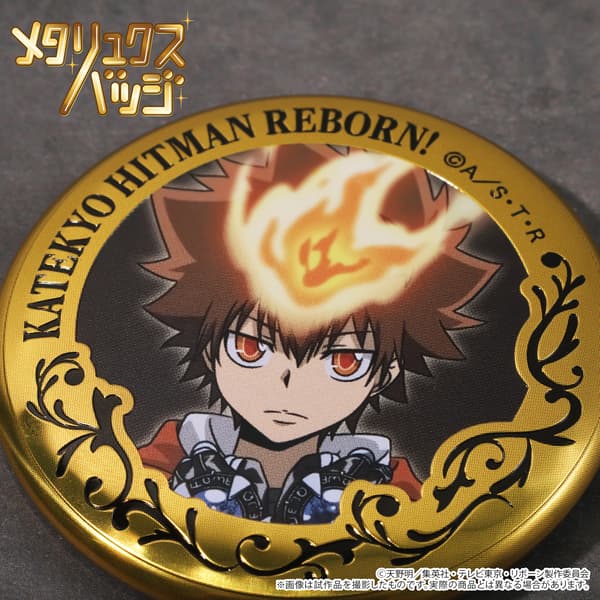 Imagen 3 del producto Colección de chapas Metaryukusu