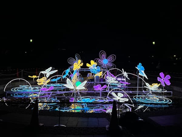 喷泉广场的花朵与蝴蝶灯光装置
