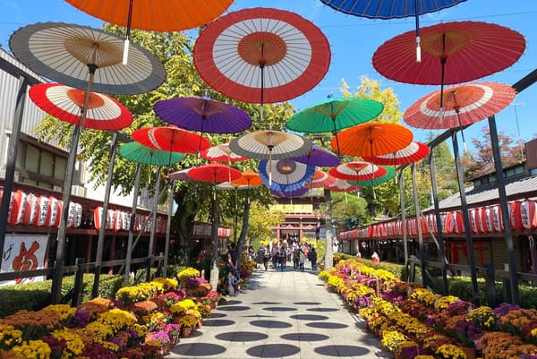Umbrella Sky