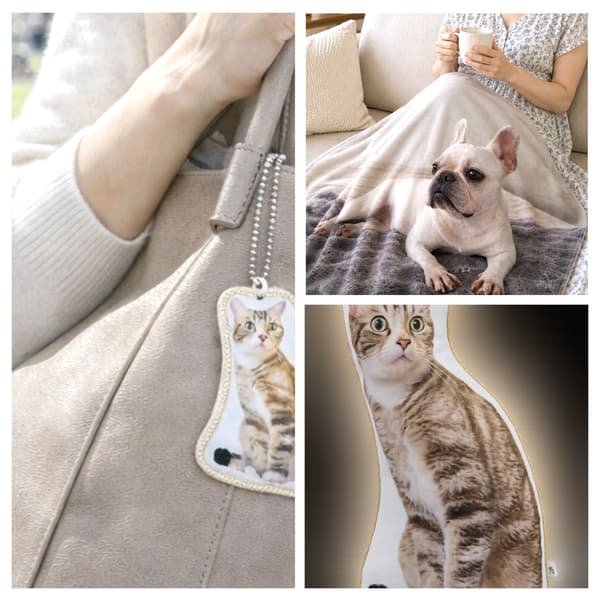 สินค้าสัตว์เลี้ยงจาก nenne Life