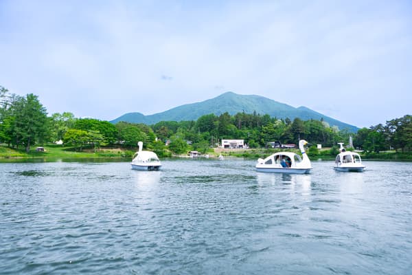 Water activity at nagano forest village