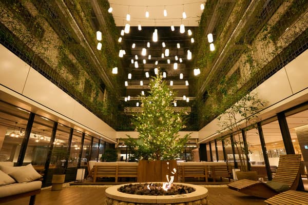 Christmas tree and lantern lighting ceremony