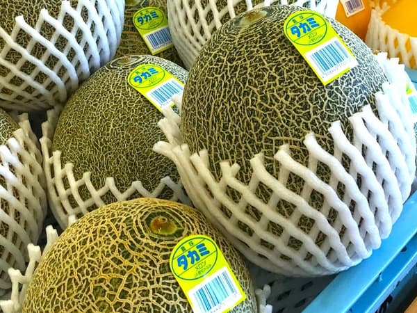 Takami melon