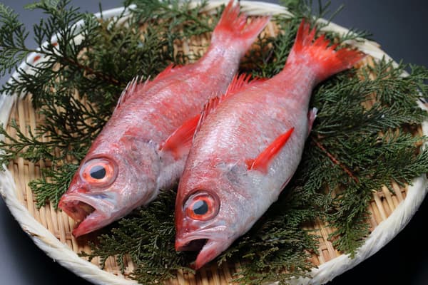 Premium fish 
