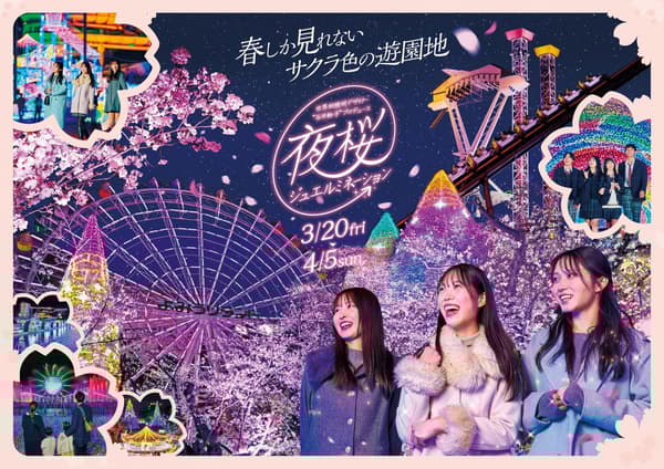 夜樱彩灯节（图片）