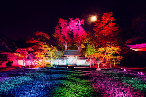 Main hall and courtyard at Zuiganji Temple