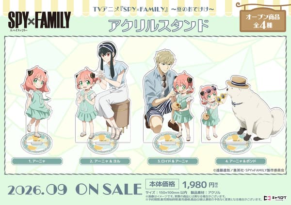 Acrylic Stands