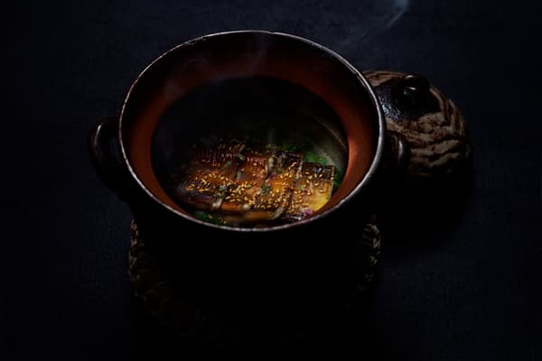 Anago meshi conger eel rice