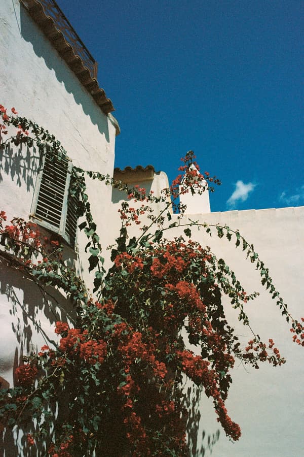 Fashion Eye Ibiza