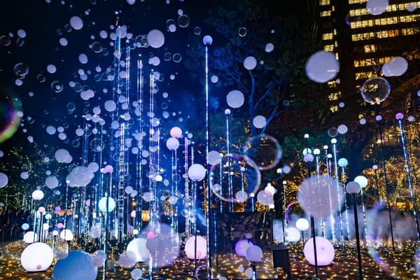 MIDWINTER LIGHTS (exhibición del año pasado)