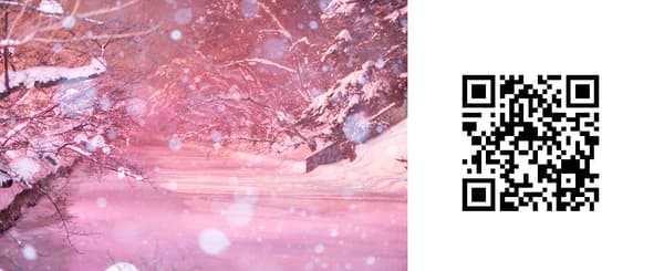 冬季樱花灯饰