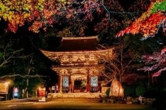 밤에 조명이 켜진 미이데라 니오몬 문