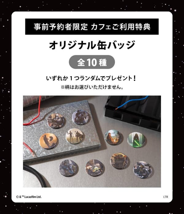 Advance reservation benefit — original pin badge (10 random designs)