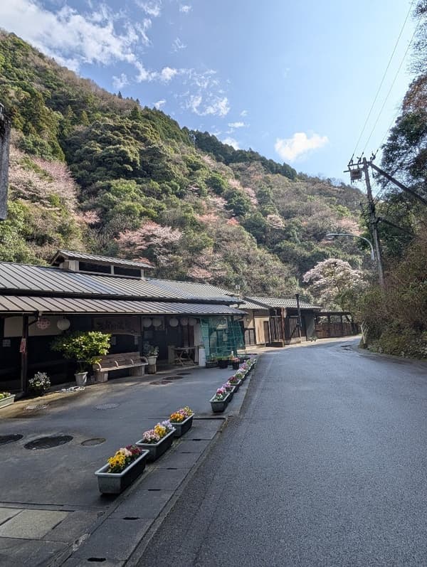 Free-flowing hot spring 