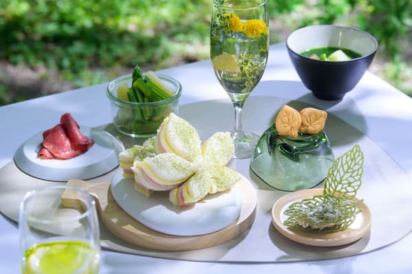 以萌芽树木为灵感的野餐午餐