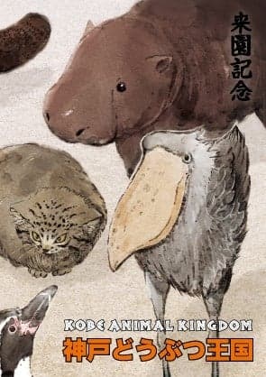 고베 동물왕국 어수도 디자인