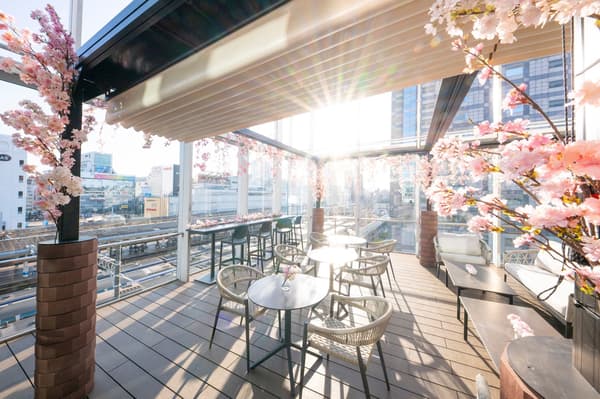 櫻花露台咖啡廳＆酒吧的櫻花裝飾