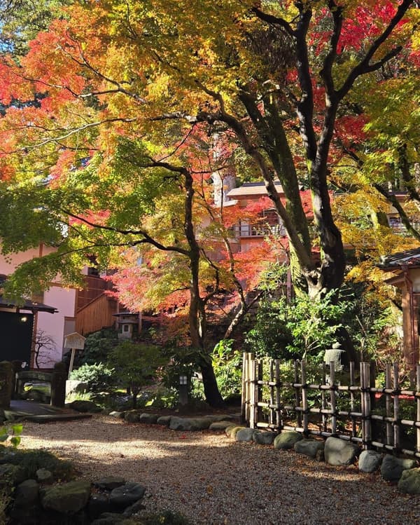 Hojas de otoño en el jardín de Kaga Iryokuen