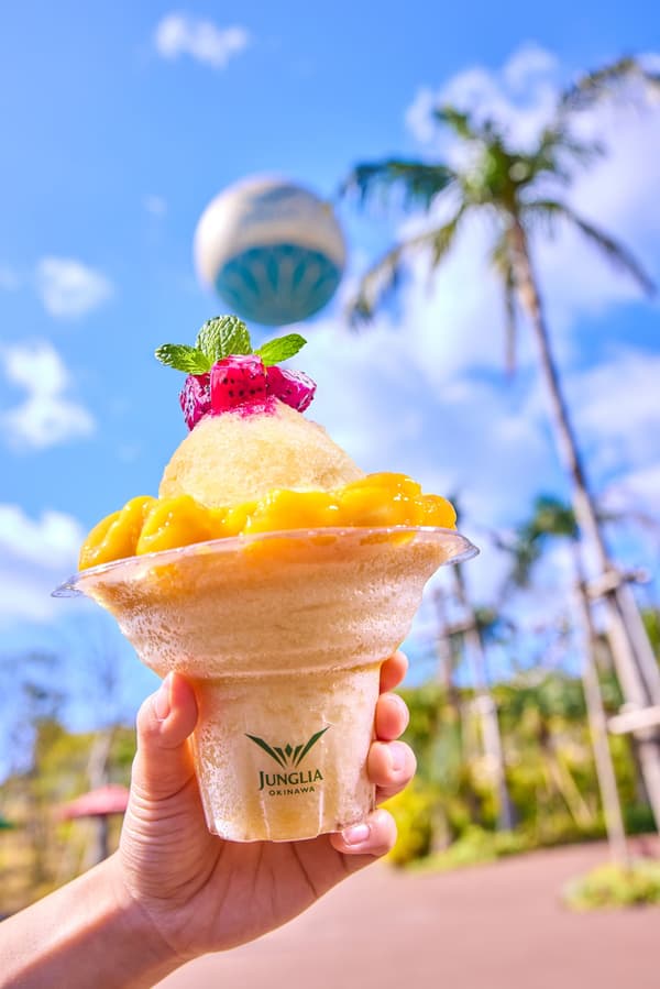 Tropical Snow Ice shaved ice