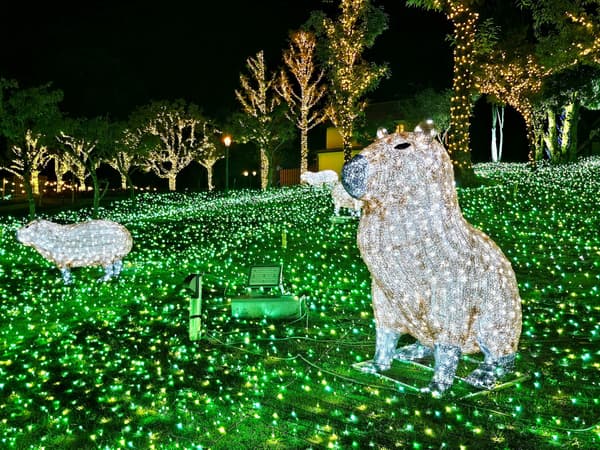 Wonder Night Hill illumination