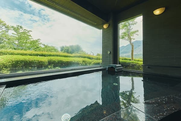 Hot springs: Hakone's 17 hot springs (箱根十七湯) and Sengokuhara Onsen